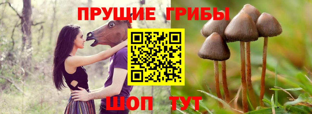 Верхний Уфалей  где купить   Вход с VPN  Галлюциногенные грибы GOLDEN TEACHER 